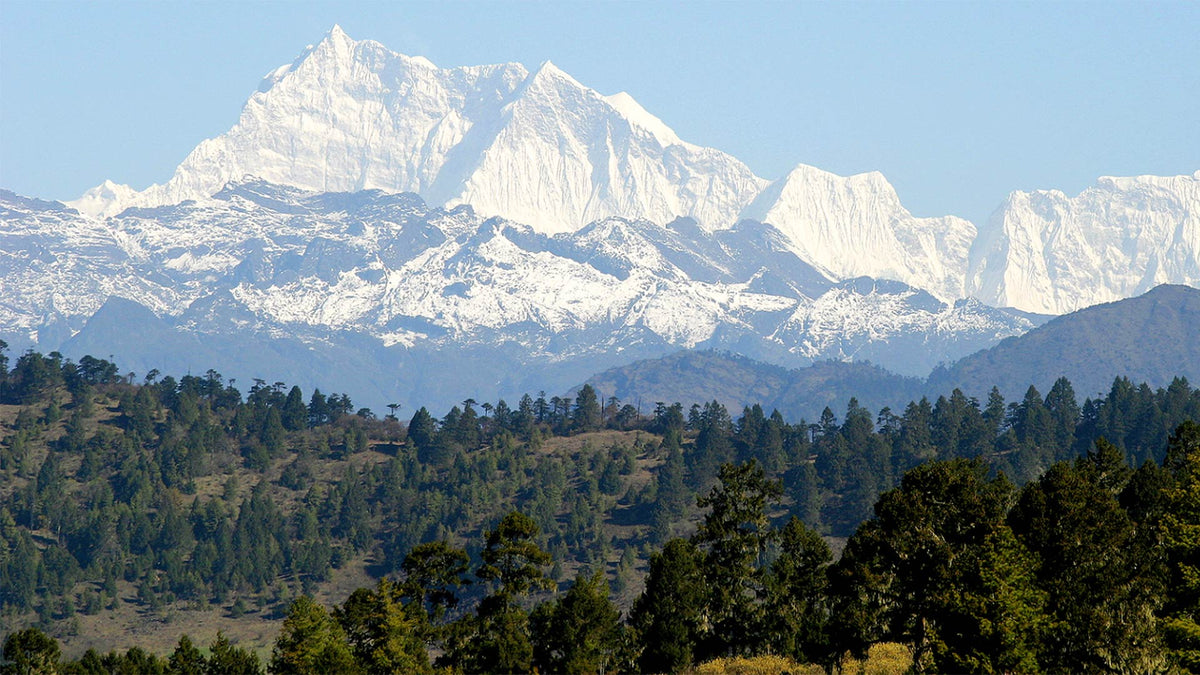 🌱 Pure Bhutan, a Founder's Note